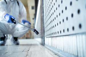 How Pest Control Services Protect Your Home From Harmful Insects and Rodents How Pest Control Services Protect Your Home From Harmful Insects and Rodents